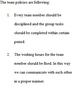 Team policy idea
